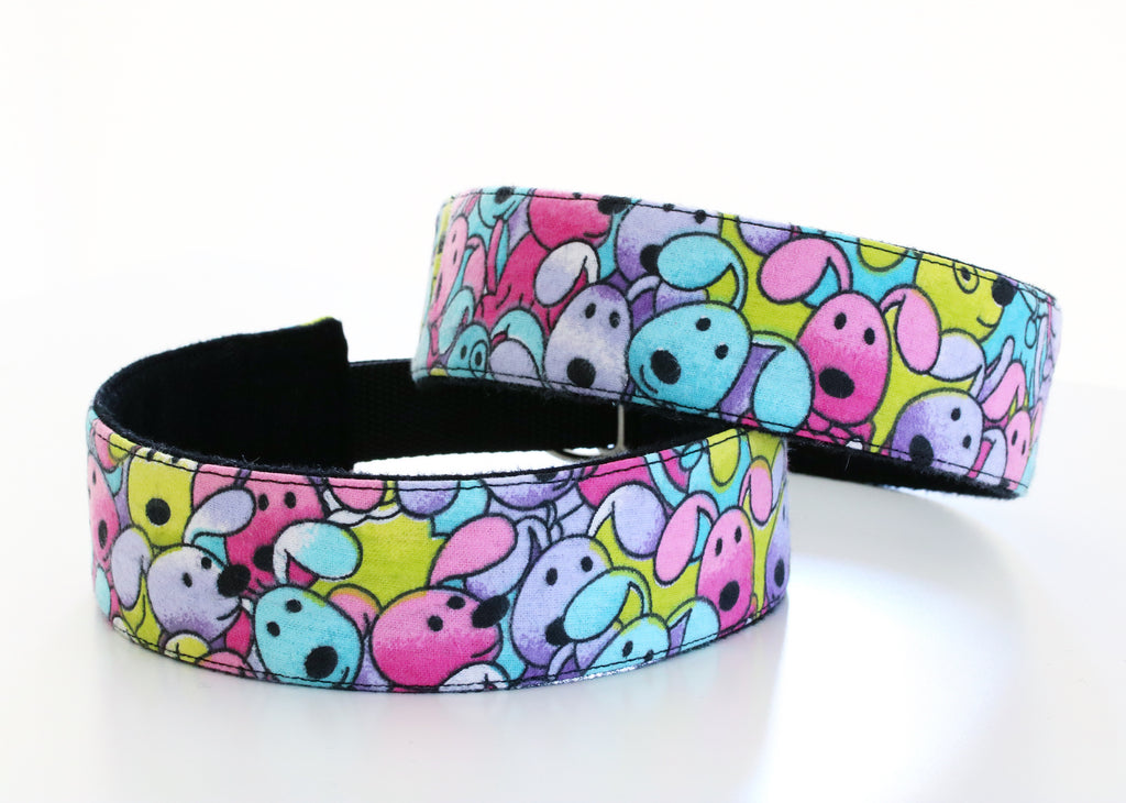 Hundhalsband: Färgglada hundar