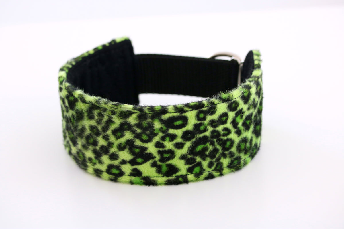 Hundhalsband: Neon leopard