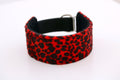 Hundhalsband: Röd leopard