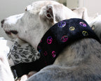 Hundhalsband: Peace