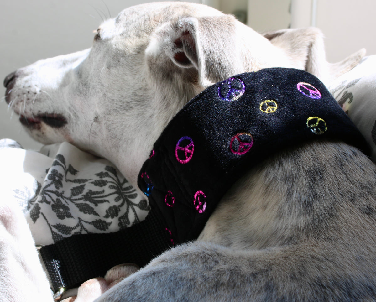 Hundhalsband: Peace